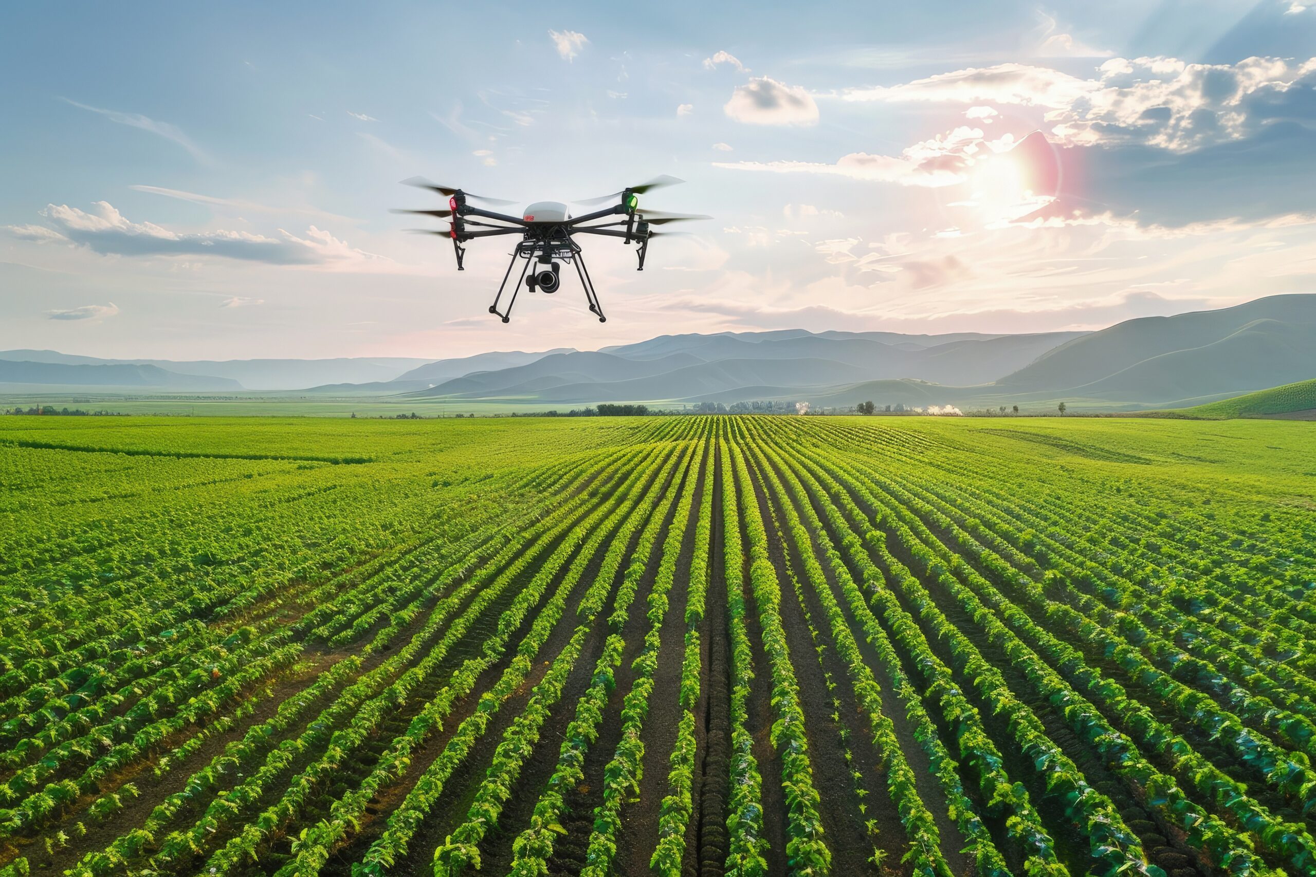 large field crops with quad quad quad flying it scaled